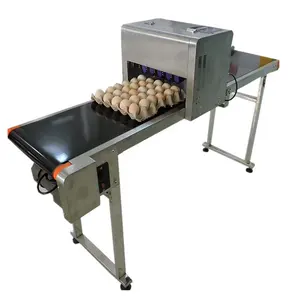 Factory Price Automatic Egg Printing Machine / Inkjet printer for eggs