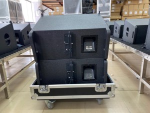 Nhỏ gọn 600W 8Ohm duy nhất 12inch dòng mảng Hệ thống đám cưới cổ điển Nhà thờ V12 xách tay gỗ bạch dương ván ép với nam châm Neodymium - Product Image 2