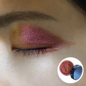 Make Up Super Loose Eyeshadow Cameleon Paint Car All Colors Nail Resin Pigment Powder Cosmetic