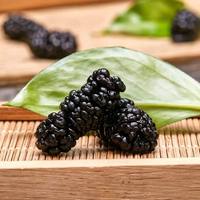 Bayas de morera secas, sabor dulce y ácido natural, superfruta, snack premium, ingrediente para repostería y té, certificado GMP, Gansu, China, venta al por mayor a granel