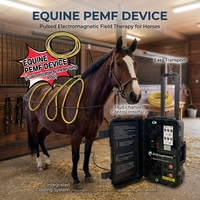 Appareil de thérapie PEMF portable pour chevaux, dispositif magnétique en boucle pour soulager la douleur chez les équidés