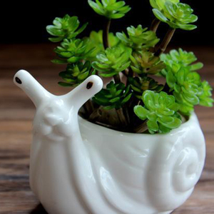 Tùy Chỉnh Gốm Ốc Vườn Trang Trí Động Vật Chậu Hoa Thiết Kế Dễ Thương Cho Ngoài Trời Và Sử Dụng Nhà Cho Máy Tính Để Bàn Và Trồng - Product Image 6