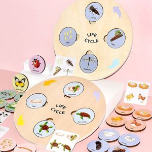 Homeschool Supplies Activities Toy Children Ladybug Butterfly Bee Insect Life Cycle <b>Puzzle</b> Sets - Product Image 1