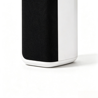 Haut-parleur colonne à tension constante 70-110V, enceinte murale PA pour hôtel et école
