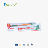 Dentifrice Herbal Moringa Coolbright Saveur Menthe 175g Usage Domestique Soin Complet Blanchissant au Fluor avec Brosse à Dents