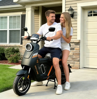 Vélo électrique haute vitesse 1000W U2 U7 pour adultes, moto électrique avec batterie LiFePO4, couleur personnalisée disponible