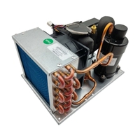 Système de refroidissement liquide micro FS THERMO 12v 24v 48v DIY pour refroidisseur d'eau pour laboratoire médical laser PC