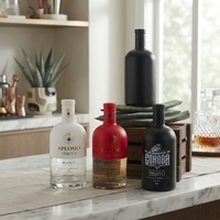 Botella de Vidrio Oslo Transparente con Base Gruesa, Revestimiento Mate, Grado Alimenticio, para Vodka, Ginebra, Whisky, Tequila, Recipiente de Vidrio, Directo de Fábrica