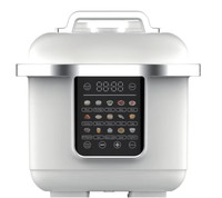 Nouvelle Cocotte-minute Électrique Multifonctionnelle à Chauffage Instantané, Marmite de Cuisson en Acier Inoxydable, Cuiseur à Riz, 6L