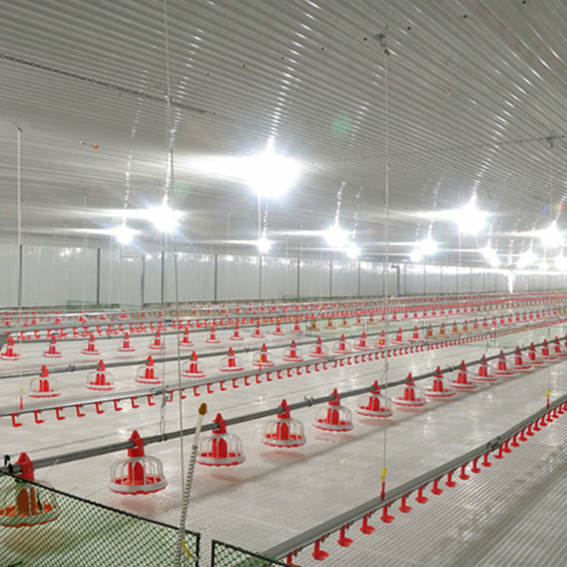 Automatic Chicken Poultry Farm Equipment New