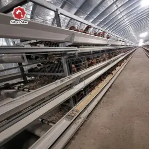 Automatische Kippenkooi Ondersteunende Faciliteiten Toevoer Toren Voerbak Automatische Feeder Diervoeder Roestvrij Staal