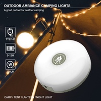 Guirlandes lumineuses LED portables pour le camping, durables, étanches, pour la jardinage, lampes d'extérieur, lumière de tente rechargeable avec 8 modes d'éclairage