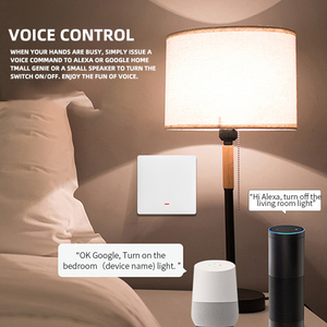 Tuya App <strong>2</strong> Gang White <strong>Push</strong> <strong>Button</strong> Panel Neutral Voice Timing Alexa Google Home <strong>2</strong> Gang <strong>Control</strong> Smart Wall Switch - Product Image 3