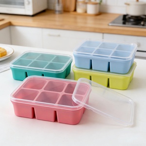 Moule à glaçons en silicone à six compartiments pour purées de fruits et snacks pour bébés, avec récipient de congélation, personnalisable pour la sécurité alimentaire - Product Image 1