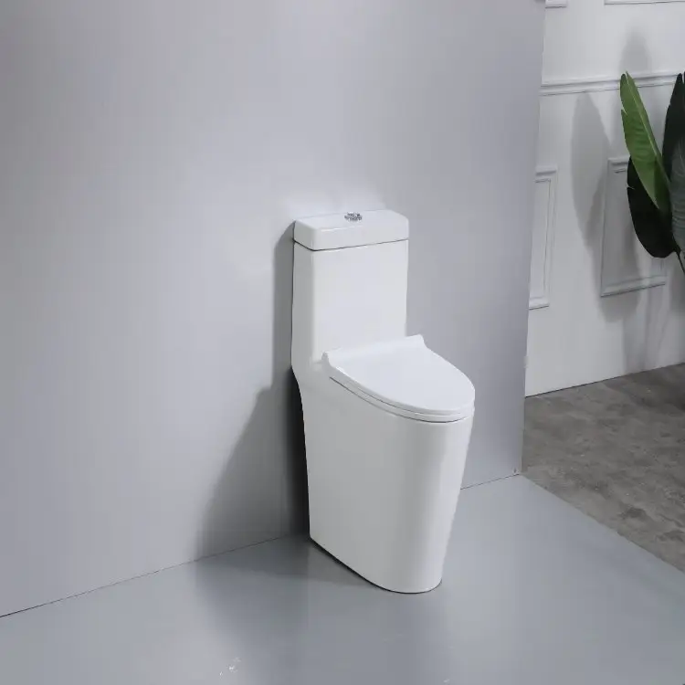 Toilettes/sanitaires au design diamant, toilettes préférées du moyen-orient, toilettes en une pièce