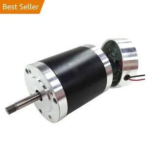 High Torque 24 v 0.28N.m Controller Integrato Senza Spazzola di Cc Del Motore 60w 24 volt BLDC Motor con il driver Integrato