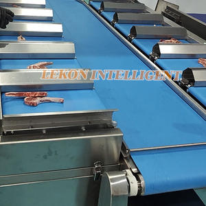 Balance de pesage par lots multiplateformes, balance combinée multi-têtes pour filets de poisson congelés, saumon, portions de pangasius - Product Image 6