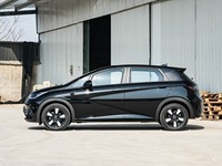 Новый автомобиль TCCH 2025 BYD Dolphin 410 км, версия Fashion Smart Drive, автоматическая коробка передач, электромобиль, прямые оптовые поставки с завода по выгодной цене