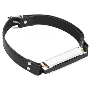 Accessoires de sexe SM amusant Harmonica bouche Plug Couple taquineries flirter nouveau Unique reliure bouche balle formation Sex Toy - Product Image 1