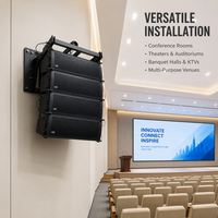 Haut-parleur Line Array double 6,5 pouces DS-DA-206 200W 118dB 110 ° Armoire en contreplaqué pour salle de théâtre, salle de conférence, KTV, OEM/ODM