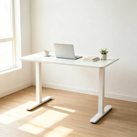 Bureau d'ordinateur réglable en hauteur à double moteur économique certifié CE ETL RoHS, cadre de bureau électrique sur mesure