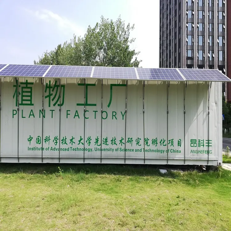 Topraksız sistem konteyner hidroponik çiftlik bitki fabrika dikey kapalı hidroponik çiftlikler