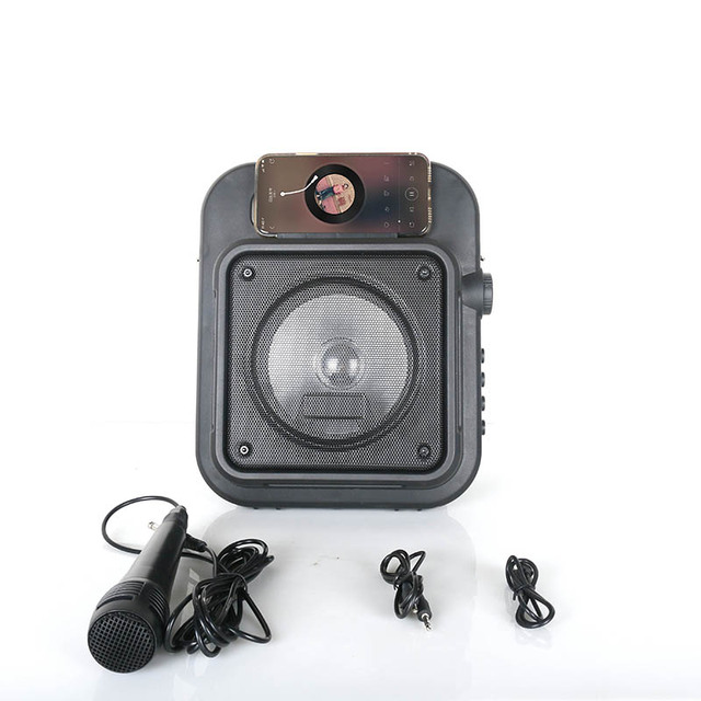 Wireless Bluetooth Portable Outdoor Party Speaker 1000w Karaoke Microphone With Bluetooth USB Line in