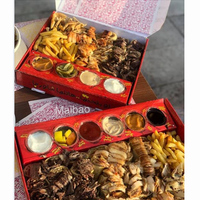 Boîtes à lunch jetables écologiques personnalisées de style émirati pour emporter, pour la nourriture, Dubaï, combo poulet shawarma, emballage en papier, boîte à frites