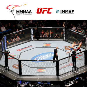 Jaula Octagonal Estándar UFC para MMA con Diseño de Logotipo Personalizado para Academias de Artes Marciales y Lugares de Competición - Product Image 5