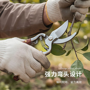 Tijeras de podar de alta calidad 6165 de acero al carbono con cabeza recta para árboles frutales, recorte de flores y herramientas de jardinería - Product Image 3
