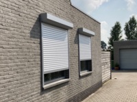 Volet de sécurité motorisé en aluminium, volet roulant décoratif extérieur, volets roulants verticaux en alliage d'aluminium