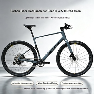 Gravel <b>Bike</b> Carbon Fiber T800 <b>Frame</b> 12-Speed Hydraulic Disc Brakes Gravel Road Detachable Design A058 Detachable <b>Frame</b> - Product Image 5