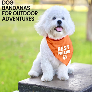 Bandana pour chien ajustable unisexe, mouchoir triangle, bavoir jaune imprimé «Born Run», accessoire de vêtements pour animaux de compagnie lavable et mignon - Product Image 4