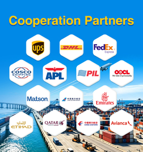 Agent d'expédition maritime et aérien DDP, agent logistique express de la Chine vers les États-Unis, l'Europe, le Canada, l'Australie, l'Allemagne, la France - Product Image 6