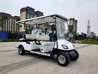 Voiturettes de golf électriques à piles pour la promotion