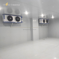 Panneaux en polyuréthane Glostar Chine à installation facile, conformes CE/ISO, 50mm, 75mm, 100mm, 150mm, 200mm, couleur personnalisée, pour salles blanches