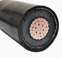 Câble unipolaire blindé en cuivre avec gaine en PVC, isolation XLPE, basse tension, pour projets de centrales électriques et utilisation en construction
