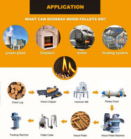 Machine de fabrication de granulés de bois, de céréales et d'engrais organique à partir de coques d'arachides, de copeaux de paille, de biomasse, de sciure de bois et d'herbe alfalfa, capacité 1-2T/H