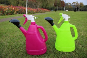 Factory Sell Cheap Price 2L Garden <strong>Sprayer</strong> Watering Can for Indoor Garden Plants - Product Image 3