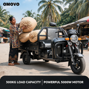 OMOVO Lite Tricycle Électrique de Transport de Marchandises, Vélo Cargo Électrique, Rickshaw à Trois Roues - Product Image 3