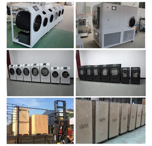 Secador por Congelación con Sistema <span class=keywords><strong>de</strong></span> Control PLC, Máquina <span class=keywords><strong>de</strong></span> Secado por Congelación Automática para el Hogar, Equipo <span class=keywords><strong>de</strong></span> Secado por Congelación para el Procesamiento <span class=keywords><strong>de</strong></span> Alimentos - Product Image 6