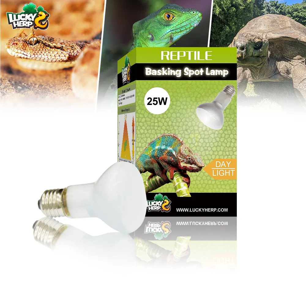 Vendita calda di alta qualità 25W 50W 75W 100W LUCKY HERP rettile lampada di calore