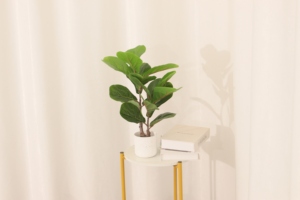 Höhe 40cm künstlicher Geigen blatt Feigen baum Kleiner Plastik ficus baum für Büro-Wohnkultur - Product Image 4