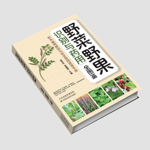 Guía ilustrada auténtica sobre verduras silvestres, frutas, identificación, usos medicinales, consumo seguro, modelo de guía para principiantes - Product Image 2