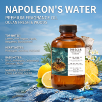 Huile parfumée fruitée Chypre Napoléon, longue durée, sans eau, pour diffuseur de parfum commercial, personnalisation OEM