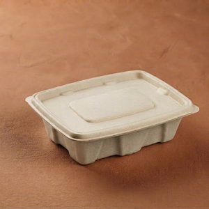 Contenedor Rectangular de Alimentos de Bagazo Natural Premium de 1000ml, Biodegradable, para Restaurantes y Servicios de Alimentos - Product Image 1