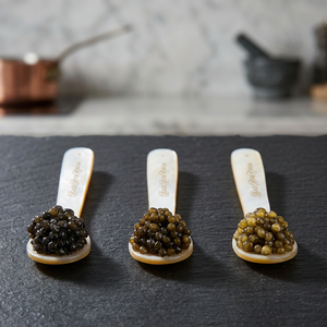 DELICIOUS CAVIAR Caviale Amu Darya STURGEON GOURMET PROFESSIONAL HANDMADE BEST SELLING Tinned FD Dried - Product Image 2
