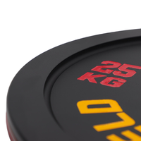 Plaques de poids professionnelles Powerlifting en acier calibré avec surface de revêtement en poudre noire pour organisateur de compétition de gymnastique