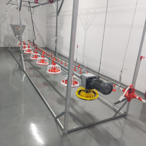 Nuovo Sistema di Allevamento Avicolo all'Ingrosso, Attrezzature per Allevamento di Polli da Carne, Forniture per Pollame, Strumenti Agricoli, Mangiatoie per Animali - Product Image 6