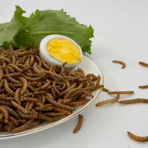 <span class=keywords><strong>Vers</strong></span> <span class=keywords><strong>de</strong></span> <span class=keywords><strong>farine</strong></span> séchés <span class=keywords><strong>de</strong></span> haute qualité, riches en vitamines et minéraux, sans antibiotiques, en vrac, pour oiseaux et autres animaux <span class=keywords><strong>de</strong></span> compagnie - Product Image 3